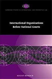 ePub International Organizations before National Courts (Cambridge Studies in International and Comparative Law) download
